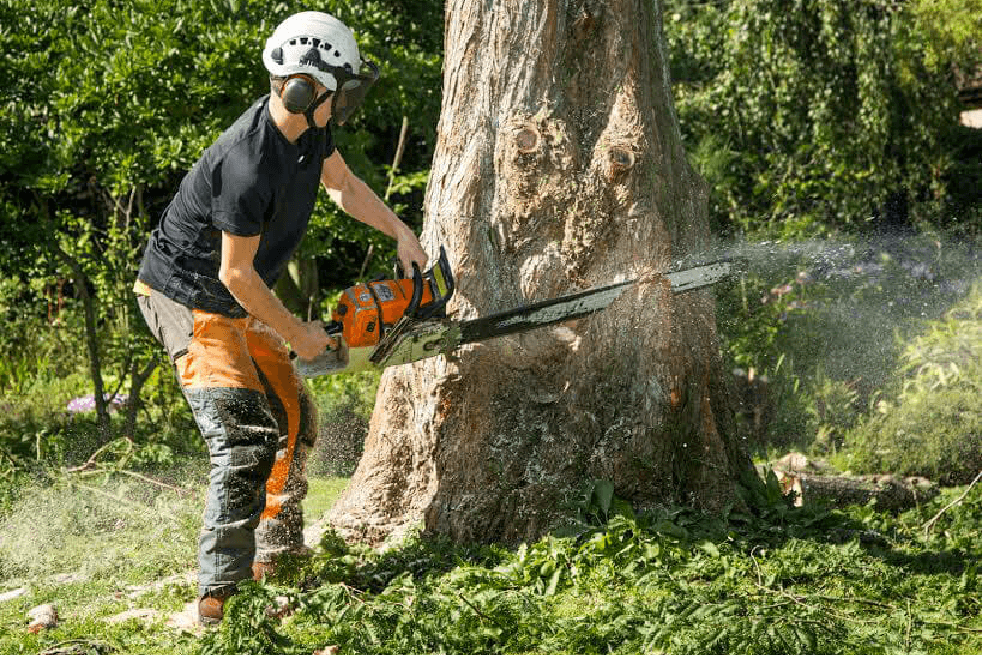 Eden Tree & Hedge Care staff