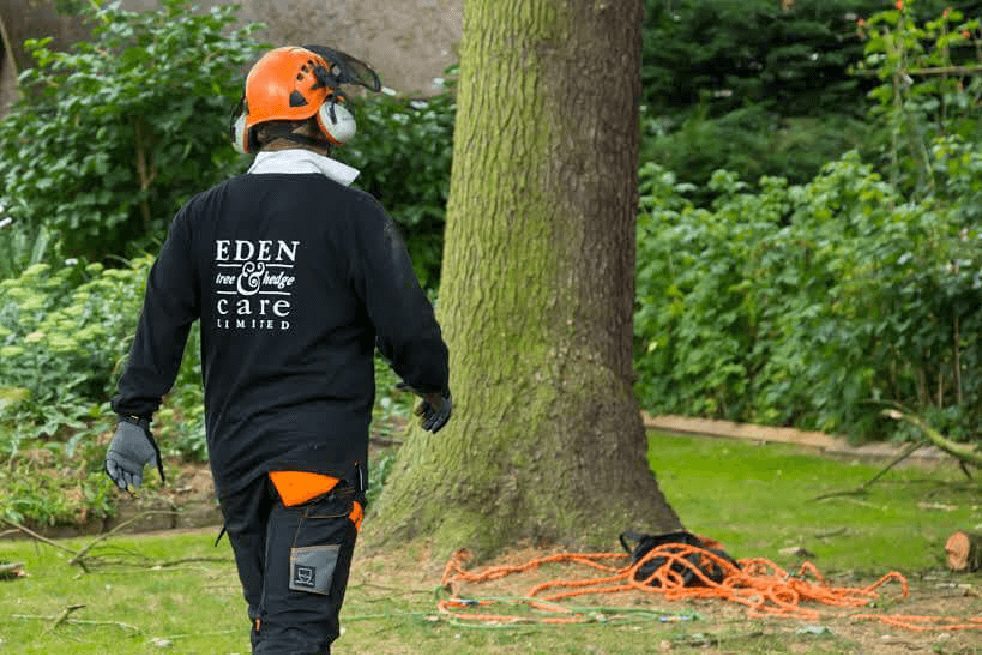 Eden Tree & Hedge Care staff