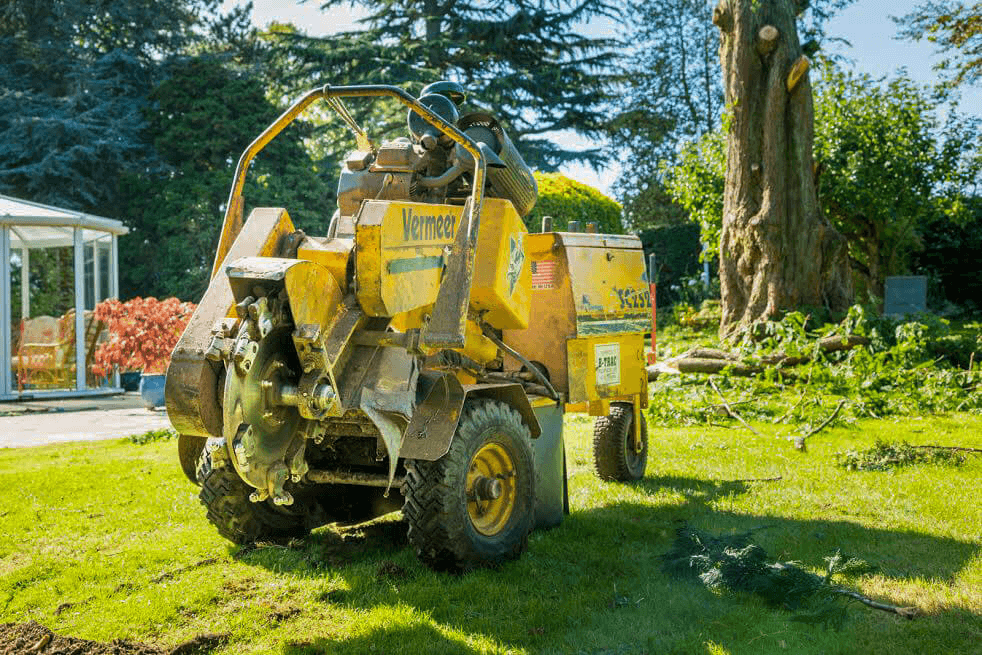 Eden Tree & Hedge Care