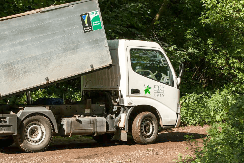 Eden Tree & Hedge Care