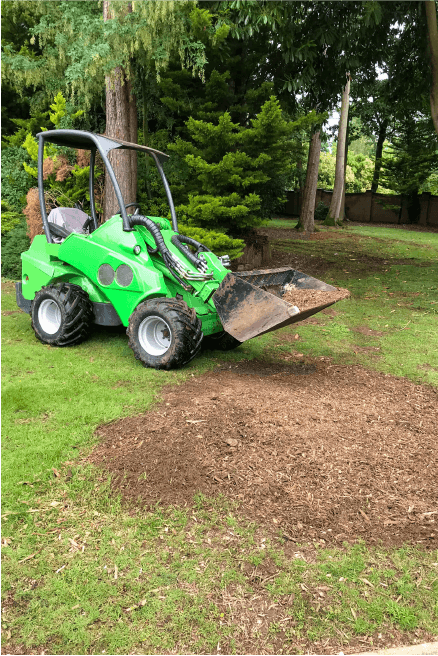 Eden Tree & Hedge Care