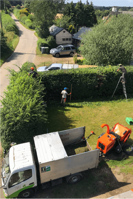Eden Tree & Hedge Care