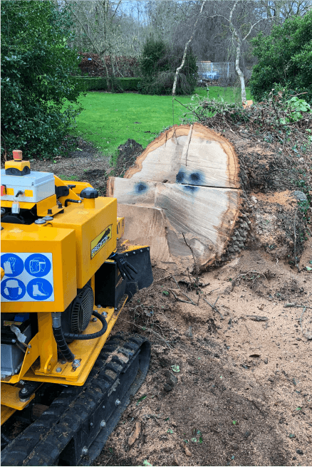 Eden Tree & Hedge Care