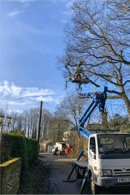Eden Tree & Hedge Care