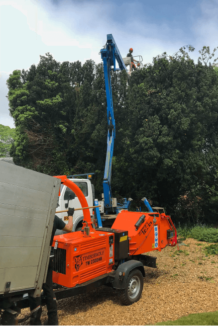 Eden Tree & Hedge Care