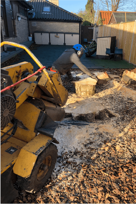 Eden Tree & Hedge Care