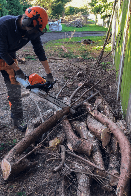 Eden Tree & Hedge Care