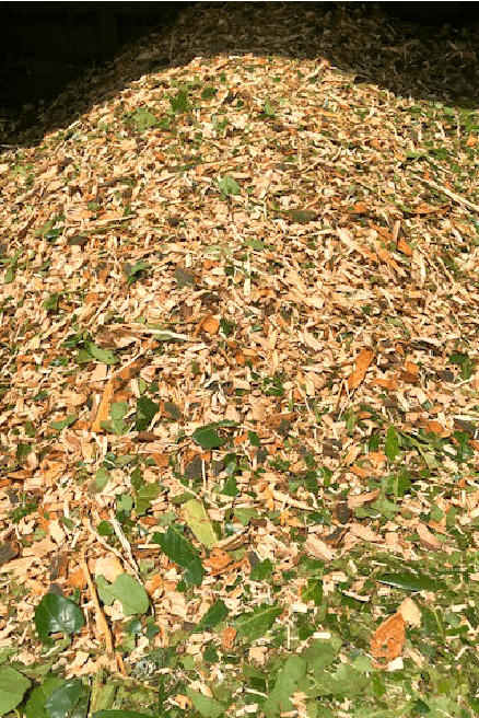 Eden Tree & Hedge Care