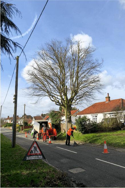 Eden Tree & Hedge Care