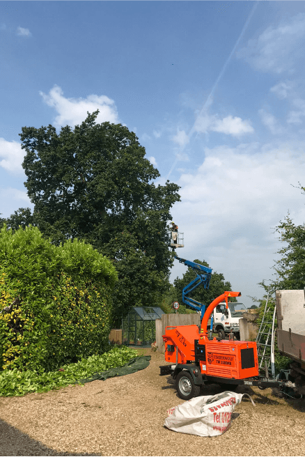 Eden Tree & Hedge Care
