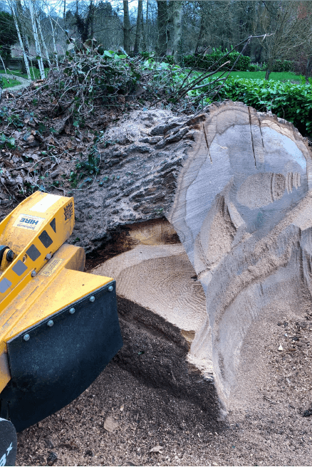 Eden Tree & Hedge Care