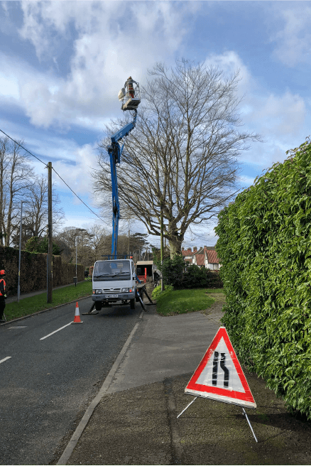Eden Tree & Hedge Care